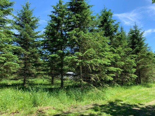 Terre/Terrain - 2163 Ch. Nicholas-Austin, Austin, QC 