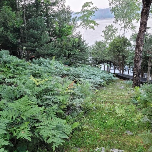Terre/Terrain - 12481 Ch. Chadrofer, Labelle, QC - Outdoor