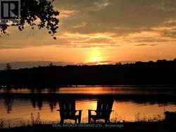 1109 WILDERNESS ISLAND TRAIL W Highlands East, ON K0L 1C0