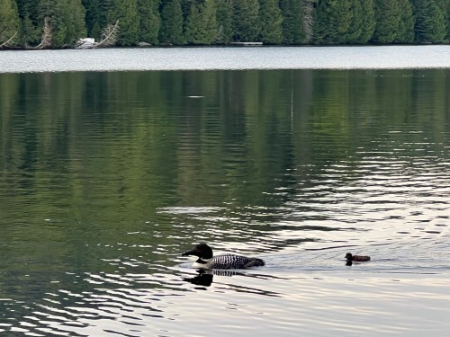 Autre - Ch. Des Sulpiciens, Saint-Adolphe-D'Howard, QC 