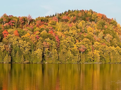 Vue sur l'eau - Ch. Des Sulpiciens, Saint-Adolphe-D'Howard, QC 