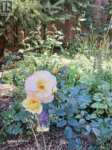 2427 Headon Forest Drive, Burlington, ON - Outdoor