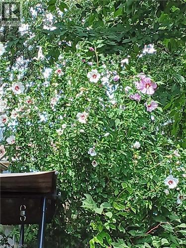 2427 Headon Forest Drive, Burlington, ON - Outdoor