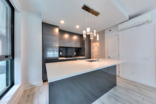 Cuisine - 306-1165 Rue Wellington, Montréal (Le Sud-Ouest), QC - Indoor Photo Showing Kitchen