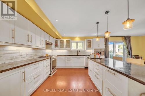 1043 Shaw Drive, Mississauga, ON - Indoor Photo Showing Kitchen With Upgraded Kitchen
