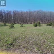 1024 OLD BARRIE ROAD  Oro-Medonte, ON L0L 2L0