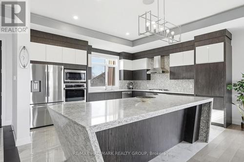 225 Summerview Terrace, Ottawa, ON - Indoor Photo Showing Kitchen With Stainless Steel Kitchen With Upgraded Kitchen