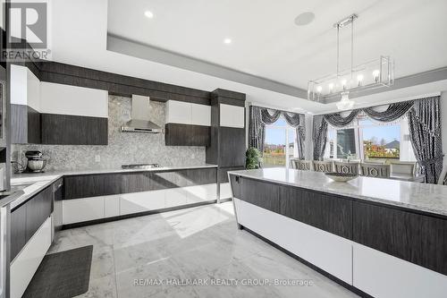 225 Summerview Terrace, Ottawa, ON - Indoor Photo Showing Kitchen With Upgraded Kitchen