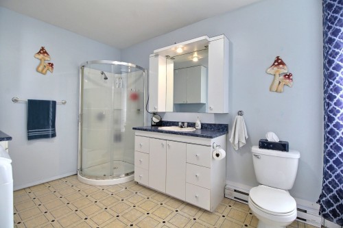 Salle de bains - 369 4E Avenue, Val-D'Or, QC - Indoor Photo Showing Bathroom