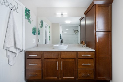 Salle de bains - 755 Rue Schubert, Brossard, QC - Indoor Photo Showing Bathroom