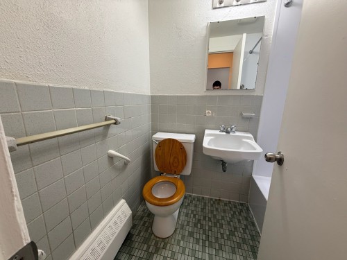 Bathroom - 5-490 Ch. Du Bord-Du-Lac-Lakeshore, Dorval, QC - Indoor Photo Showing Bathroom