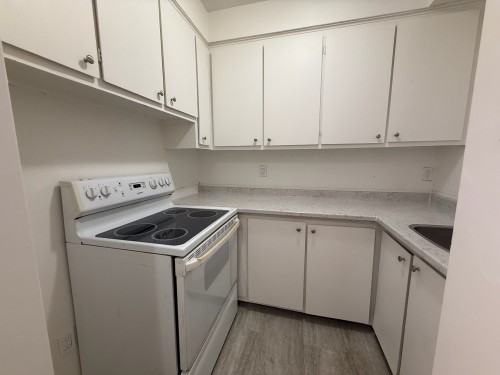 Kitchen - 5-490 Ch. Du Bord-Du-Lac-Lakeshore, Dorval, QC - Indoor