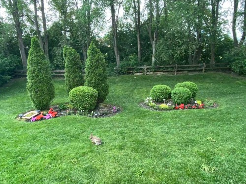 Balcon - 218 Rue Du Niagara, Kirkland, QC - Outdoor