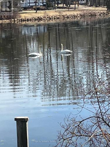 B8 - 7489 Sideroad 5 E, Wellington North, ON - Outdoor With Body Of Water With View