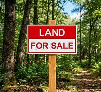 Lot Highway 10  Alpena, NS B0S 1P0