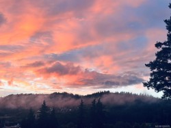 3351 Crossbill Terr  Langford, BC V9C 0J9