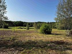 5 Acres Park Falls Road Sutherlands River, NS B0K 1W0