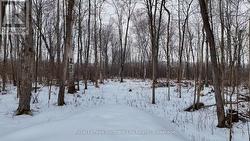 PART 3 LOT 26 TILLICUM BAY ROAD  Callander, ON P0H 1H0