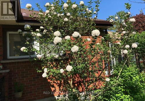 234 Manitoulin Drive, London East (East O), ON - Outdoor