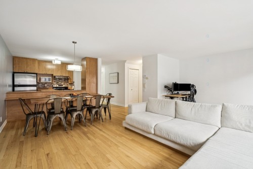 Overall view - 1-1256 Rue Ste-Élisabeth, Montréal (Ville-Marie), QC - Indoor