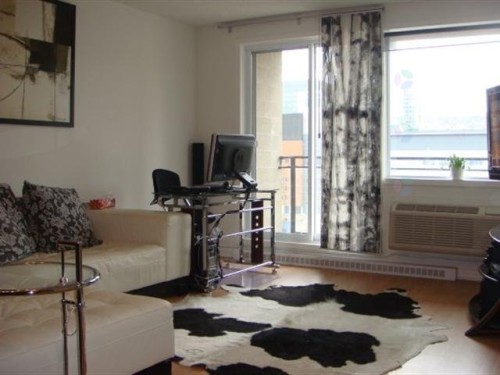 Salon - 1508-1200 Rue St-Jacques, Montréal (Ville-Marie), QC - Indoor Photo Showing Living Room