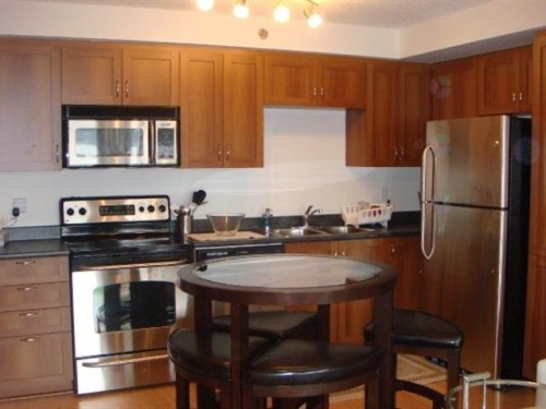 Cuisine - 1508-1200 Rue St-Jacques, Montréal (Ville-Marie), QC - Indoor Photo Showing Kitchen With Double Sink