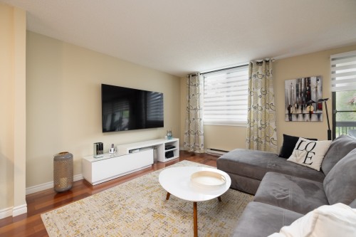 Living Room - 316-4580 Prom. Paton, Laval (Chomedey), QC - Indoor Photo Showing Living Room