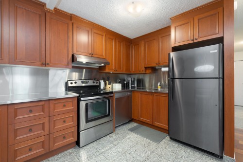 Kitchen - 316-4580 Prom. Paton, Laval (Chomedey), QC - Indoor Photo Showing Kitchen