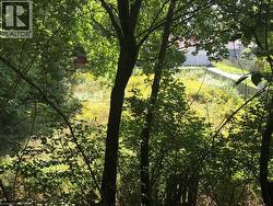 38 BROCK Lane  Brantford, ON N3S 4Y6