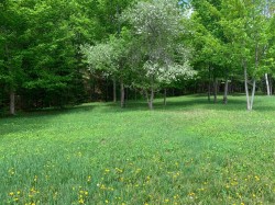 Ch. de la Rouge  Huberdeau, QC J0T 1G0