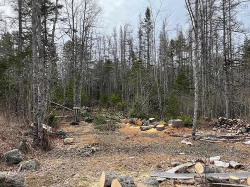 11799 Highway 8, Kempt, NS 