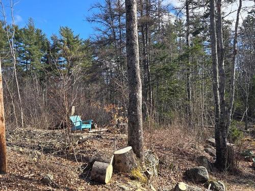 11799 Highway 8, Kempt, NS 