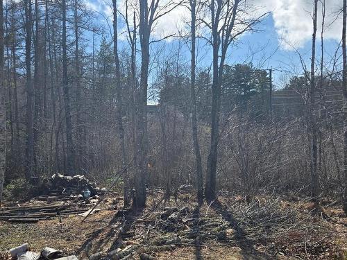11799 Highway 8, Kempt, NS 