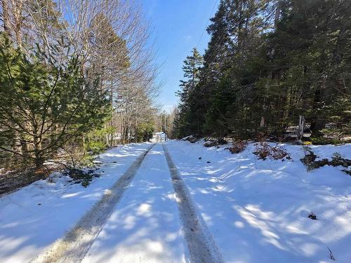 Camperdown School Road, Middlewood, NS 
