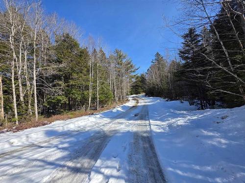 Camperdown School Road, Middlewood, NS 