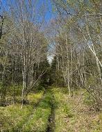 James Street  Brooklyn, NS B0J 1H0