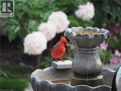 130 Coopershawk Street, Kitchener, ON - Outdoor