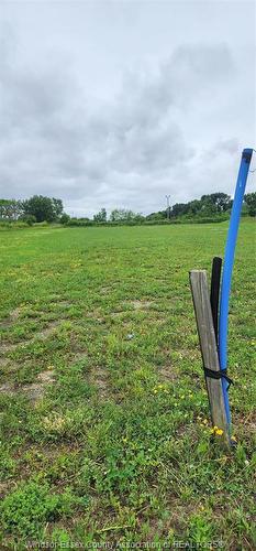 V/L Kamloops, Windsor, ON 