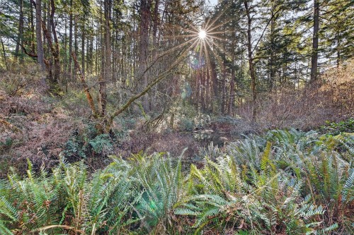 160 Sky Valley Rd, Salt Spring, BC 