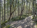 160 Sky Valley Rd, Salt Spring, BC 