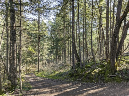 160 Sky Valley Rd, Salt Spring, BC 