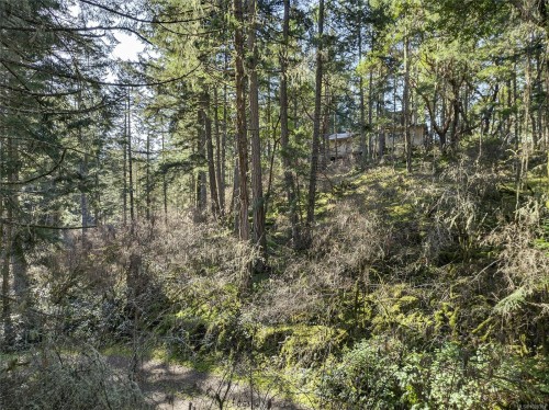160 Sky Valley Rd, Salt Spring, BC 