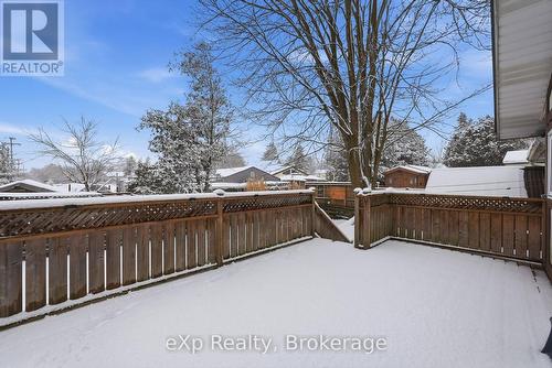 Back deck view - 60 Main Street E, Mapleton, ON - Outdoor