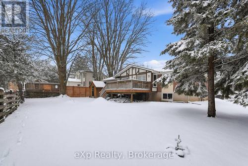 Backyard - 60 Main Street E, Mapleton, ON - Outdoor