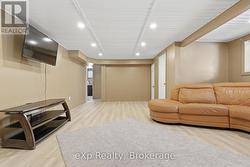 Basement rec room - 