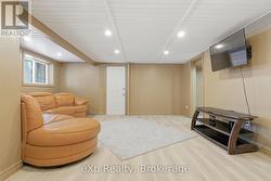 Basement rec room - 