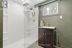 Basement bathroom - 