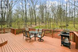 Deck, rear garden - 