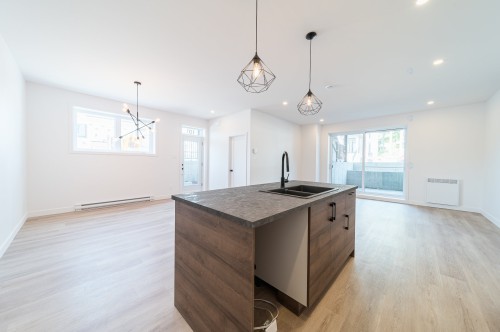 Vue d'ensemble - 101-165 Rue Mc Dermott, Cowansville, QC - Indoor Photo Showing Kitchen With Double Sink