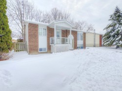 988 Rue Jude  Longueuil (Greenfield Park), QC J4V 3H6